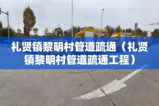 礼贤镇黎明村管道疏通（礼贤镇黎明村管道疏通工程）