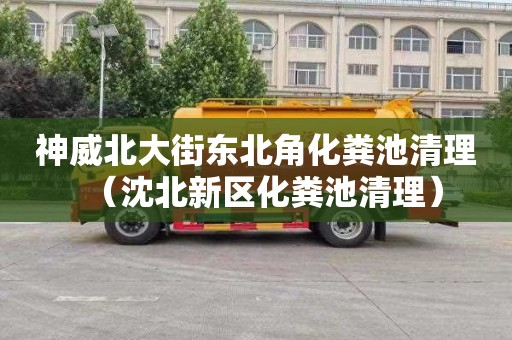 神威北大街东北角化粪池清理（沈北新区化粪池清理）