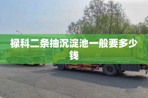 禄科二条抽沉淀池一般要多少钱