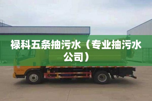 禄科五条抽污水（专业抽污水公司）
