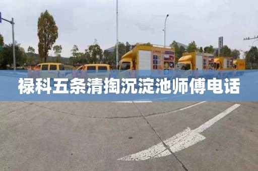 禄科五条清掏沉淀池师傅电话