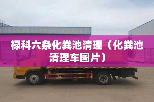 禄科六条化粪池清理（化粪池清理车图片）