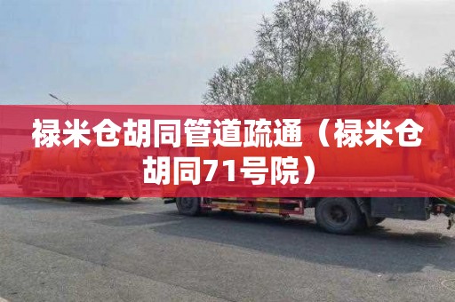 禄米仓胡同管道疏通（禄米仓胡同71号院）