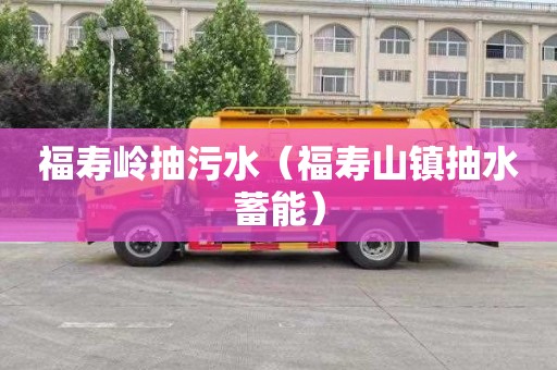 福寿岭抽污水（福寿山镇抽水蓄能）