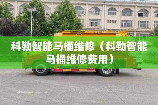 科勒智能马桶维修（科勒智能马桶维修费用）