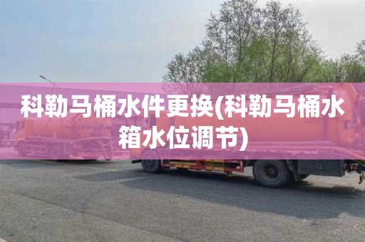 科勒马桶水件更换(科勒马桶水箱水位调节)