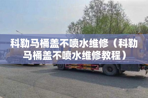 科勒马桶盖不喷水维修（科勒马桶盖不喷水维修教程）