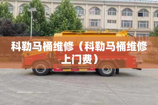 科勒马桶维修（科勒马桶维修上门费）