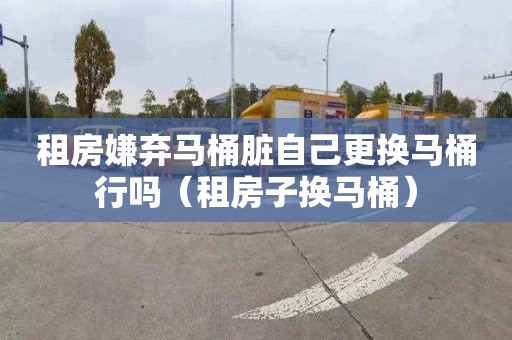 租房嫌弃马桶脏自己更换马桶行吗（租房子换马桶）