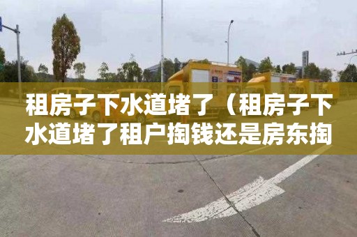 租房子下水道堵了（租房子下水道堵了租户掏钱还是房东掏钱）