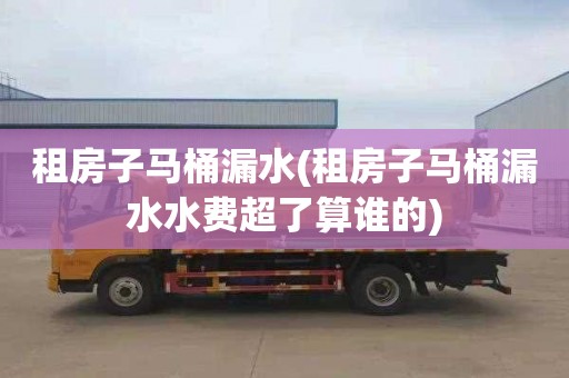 租房子马桶漏水(租房子马桶漏水水费超了算谁的)