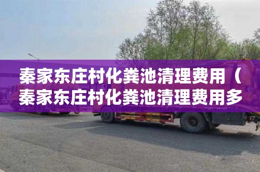 秦家东庄村化粪池清理费用（秦家东庄村化粪池清理费用多少）