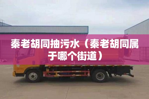 秦老胡同抽污水（秦老胡同属于哪个街道）