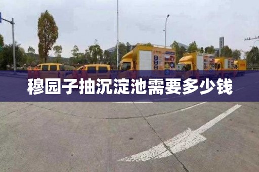 穆园子抽沉淀池需要多少钱