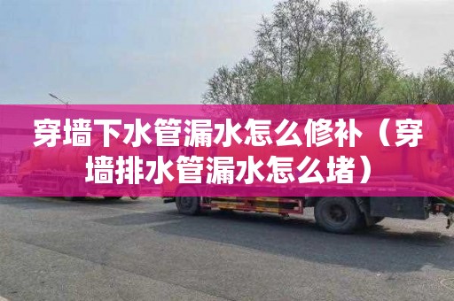 穿墙下水管漏水怎么修补（穿墙排水管漏水怎么堵）