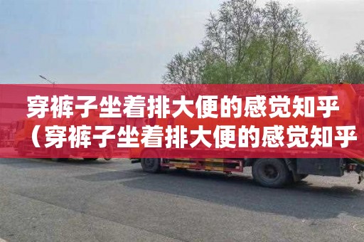 穿裤子坐着排大便的感觉知乎（穿裤子坐着排大便的感觉知乎视频）