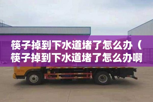 筷子掉到下水道堵了怎么办（筷子掉到下水道堵了怎么办啊）