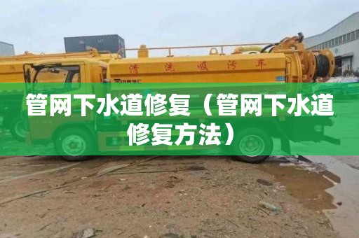 管网下水道修复（管网下水道修复方法）
