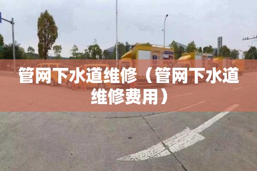管网下水道维修（管网下水道维修费用）