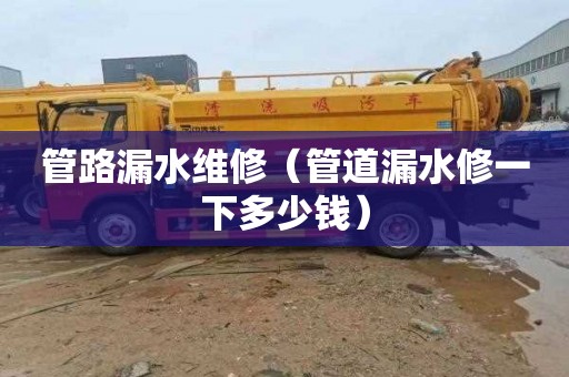 管路漏水维修（管道漏水修一下多少钱）