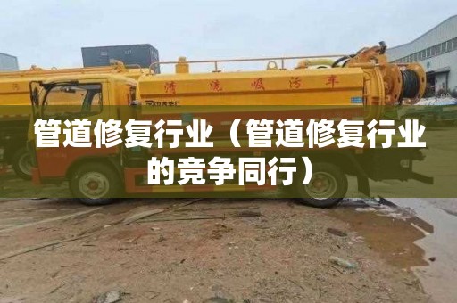 管道修复行业（管道修复行业的竞争同行）