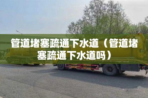 管道堵塞疏通下水道（管道堵塞疏通下水道吗）
