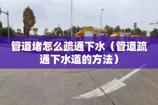 管道堵怎么疏通下水（管道疏通下水道的方法）