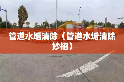 管道水垢清除（管道水垢清除妙招）