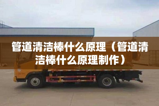 管道清洁棒什么原理（管道清洁棒什么原理制作）