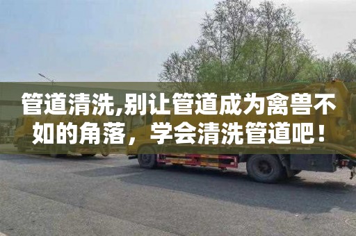 管道清洗,别让管道成为禽兽不如的角落，学会清洗管道吧！
