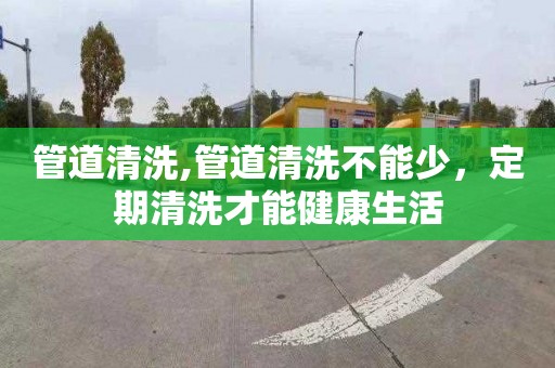 管道清洗,管道清洗不能少，定期清洗才能健康生活