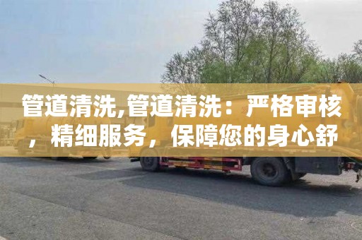 管道清洗,管道清洗：严格审核，精细服务，保障您的身心舒适