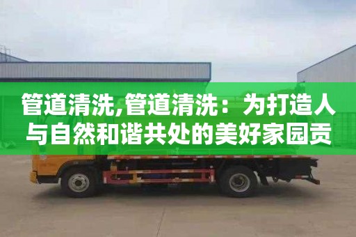 管道清洗,管道清洗：为打造人与自然和谐共处的美好家园贡献力量
