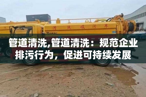 管道清洗,管道清洗：规范企业排污行为，促进可持续发展
