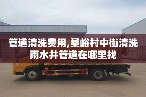 管道清洗费用,桑峪村中街清洗雨水井管道在哪里找
