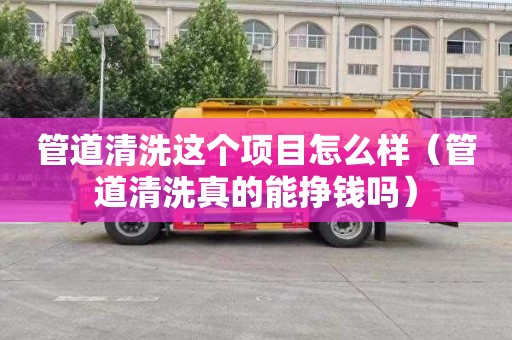管道清洗这个项目怎么样（管道清洗真的能挣钱吗）