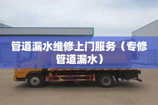 管道漏水维修上门服务（专修管道漏水）