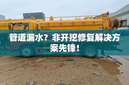 管道漏水？非开挖修复解决方案先锋！