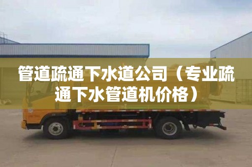 管道疏通下水道公司（专业疏通下水管道机价格）