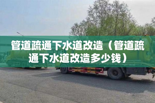 管道疏通下水道改造（管道疏通下水道改造多少钱）