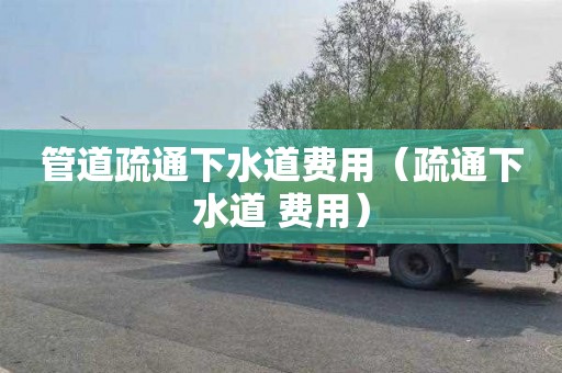 管道疏通下水道费用（疏通下水道 费用）