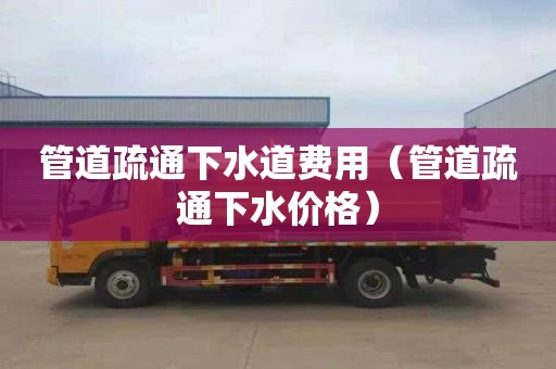 管道疏通下水道费用（管道疏通下水价格）