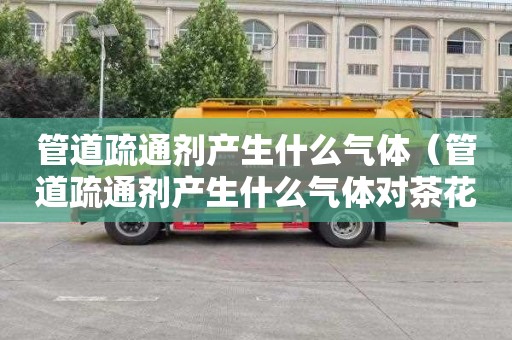 管道疏通剂产生什么气体（管道疏通剂产生什么气体对茶花有害）