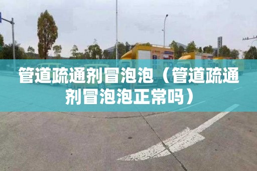 管道疏通剂冒泡泡（管道疏通剂冒泡泡正常吗）