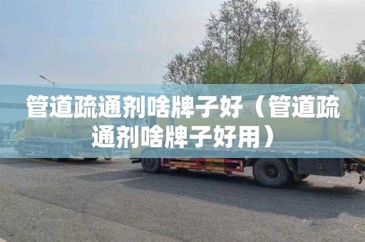 管道疏通剂啥牌子好（管道疏通剂啥牌子好用）