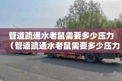 管道疏通水老鼠需要多少压力（管道疏通水老鼠需要多少压力的）