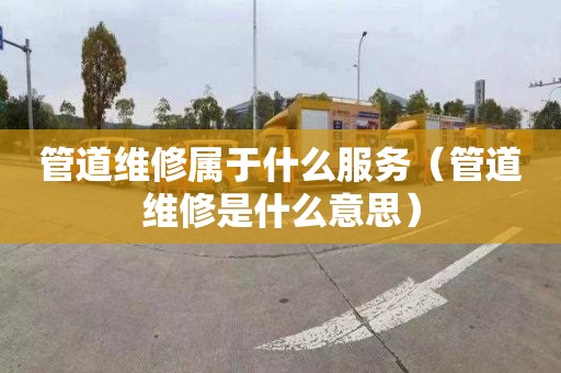 管道维修属于什么服务（管道维修是什么意思）