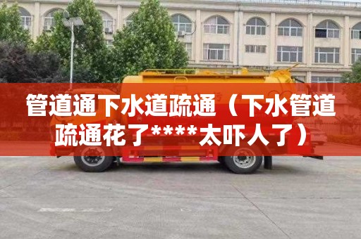 管道通下水道疏通（下水管道疏通花了****太吓人了）