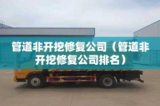 管道非开挖修复公司（管道非开挖修复公司排名）