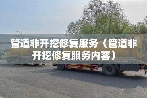 管道非开挖修复服务（管道非开挖修复服务内容）